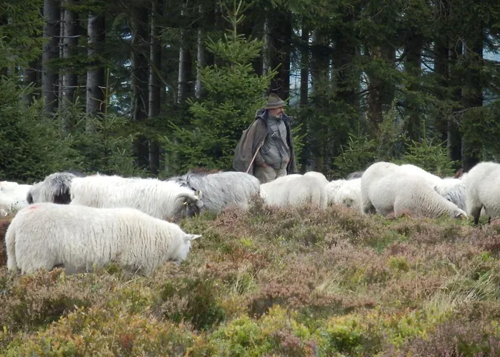 Mit Privatem Balkon By Interhome Apartment Winterberg