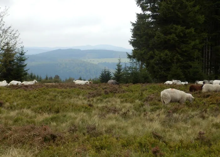 Apartment Mit Privatem Balkon By Interhome *