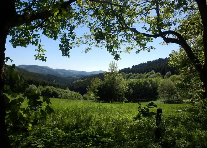 Mit Privatem Balkon By Interhome Winterberg