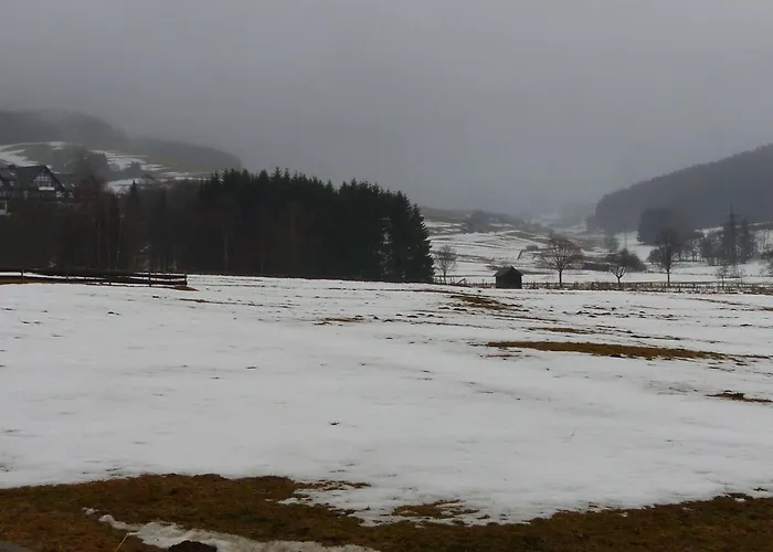 Mit Privatem Balkon By Interhome * Winterberg