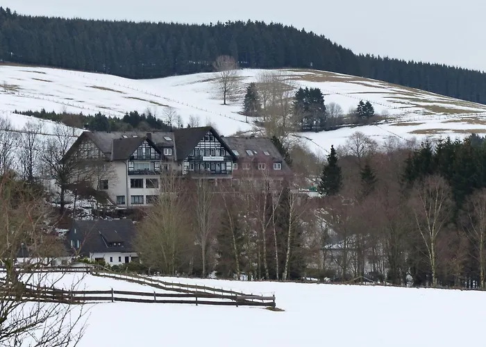 Apartment Mit Privatem Balkon By Interhome Winterberg